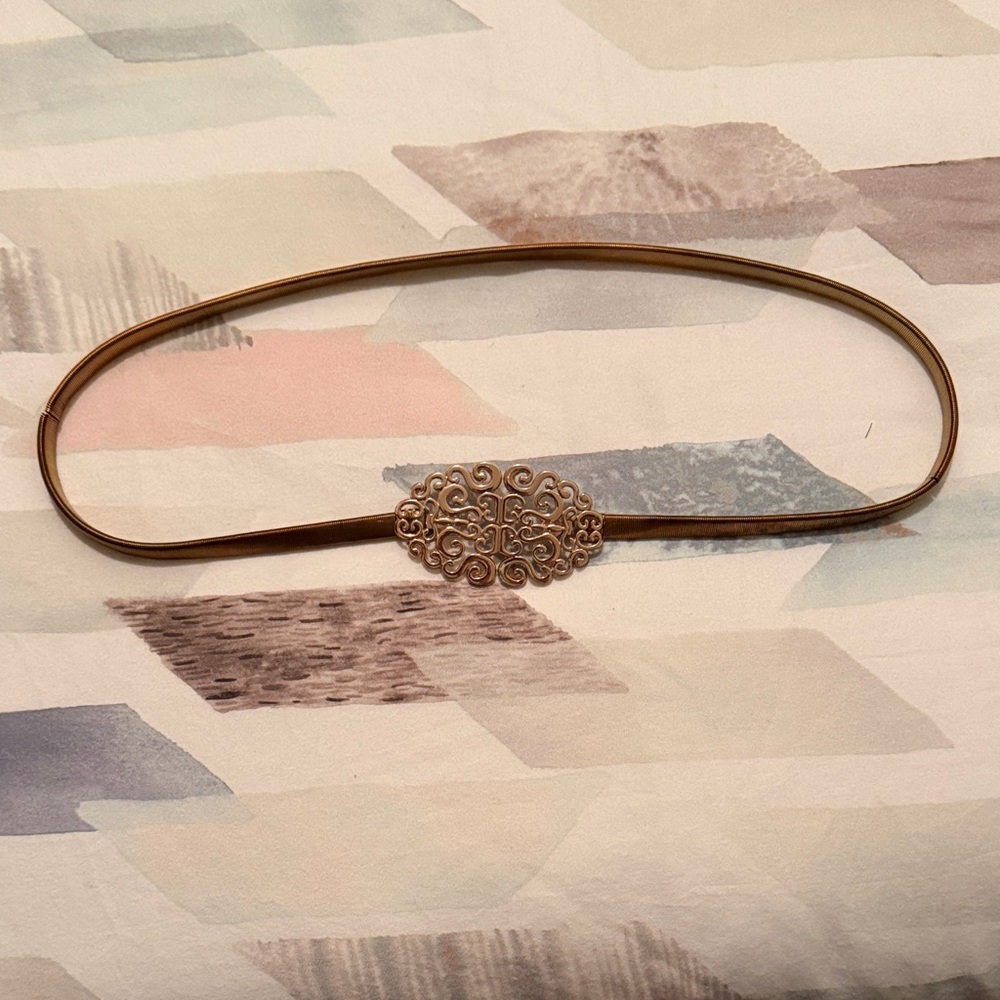 Elegant Gold Belt with Ornate Buckle